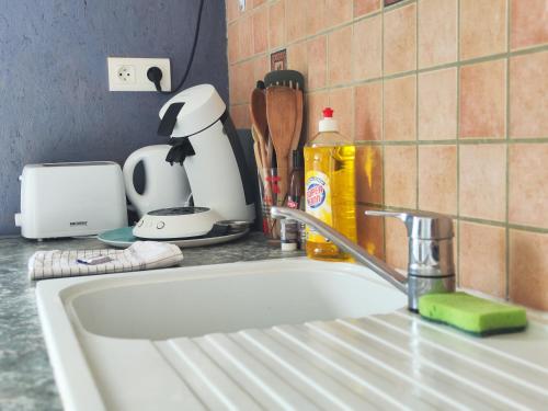 a kitchen counter top with a sink and a kitchen counter top with a sink at Domaine de la roselière • Nature • Brenne in Rosnay