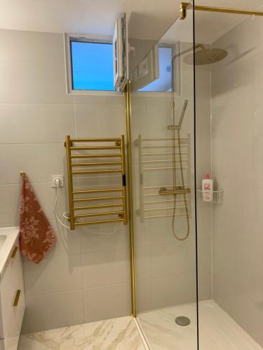 une douche avec une porte vitrée dans une salle de bain dans l'établissement Appartement Cosy tout confort - Brest, à Brest
