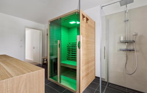 een badkamer met een douche met groen glas bij Gebirgsresort Winterberg in Winterberg