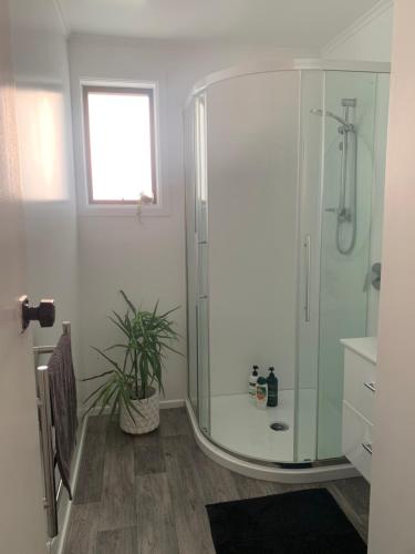 a bathroom with a shower and a potted plant at The Homestead - cosy 3 bedroom house in Rotorua