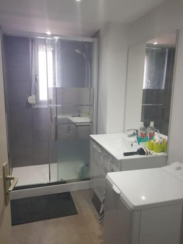 a bathroom with a shower and a sink at Chambre privée calme, lit double en Coliving in Vandoeuvre-lès-Nancy