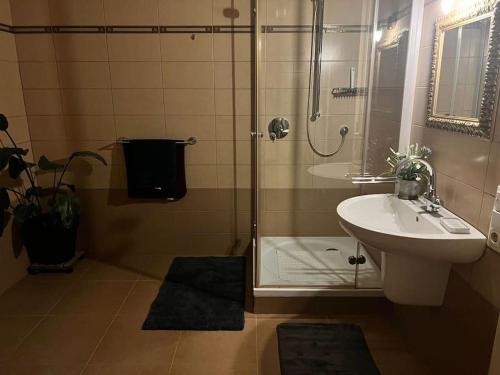 a bathroom with a shower and a sink and a toilet at Privatunterkunft in Gronau in Spechtholzhock