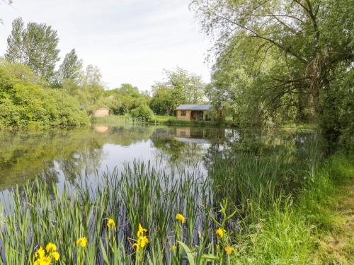 a pond with a house in the middle of it at Willow in Rugby