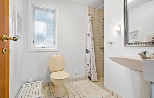 a bathroom with a toilet and a sink at Amazing Home In Føllenslev With Kitchen in Føllenslev
