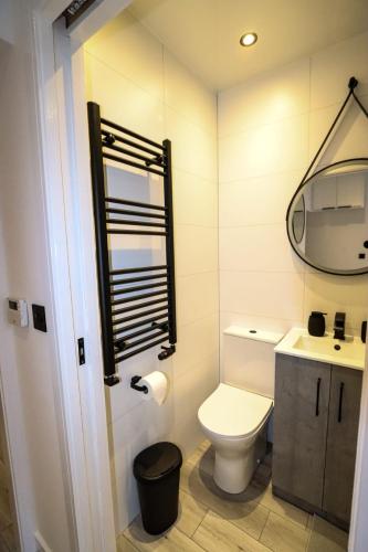 La salle de bains est pourvue de toilettes, d'un lavabo et d'un miroir. dans l'établissement City Centre Hub Stirling, On Street Parking., à Stirling
