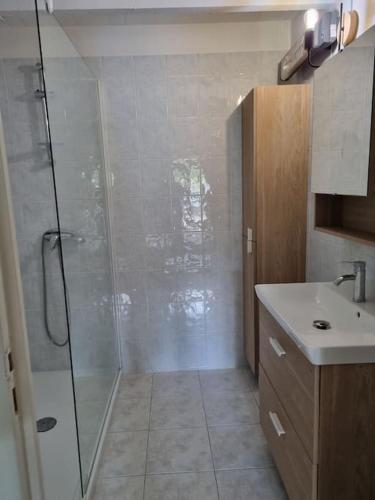 une salle de bain avec douche et lavabo dans l'établissement Gîte au cœur des vignes, à Cazes-Mondenard