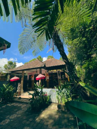 Κήπος έξω από το Homestay Sente