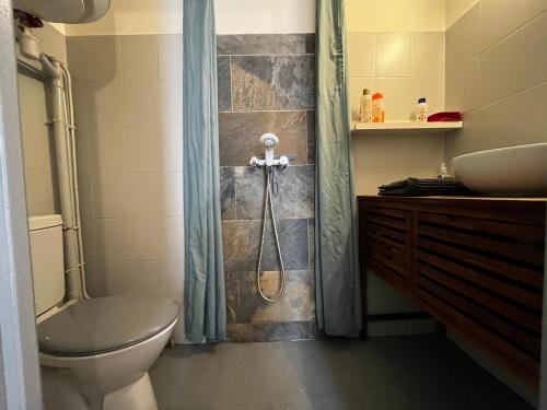 une salle de bain avec une douche avec des toilettes et un lavabo dans l'établissement Aix-en-Provence, Charmant studio proche toutes comodités et axes routiers, linges fournis, à Aix-en-Provence