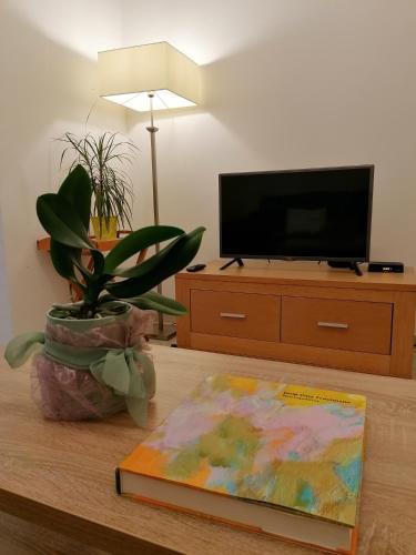 Green Park Apartments