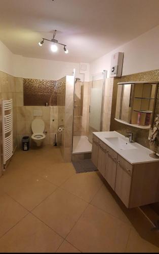 a bathroom with a toilet and a shower and a sink at Cityapartment12 bei Hauptbahnhof in Bremen