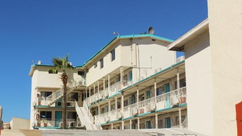 un bâtiment blanc avec un palmier en face dans l'établissement Hotel Guillen, à Tijuana