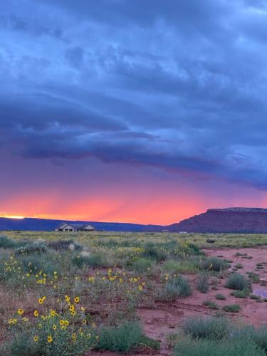 a field with flowers in the desert at sunset at Maynard Dixon: Desert Luxury & Stargazer's Oasis in Kanab