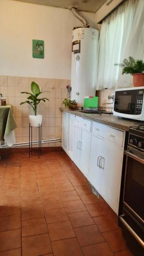 a kitchen with white cabinets and a plant on the counter at Casa Nevenka in Mendoza