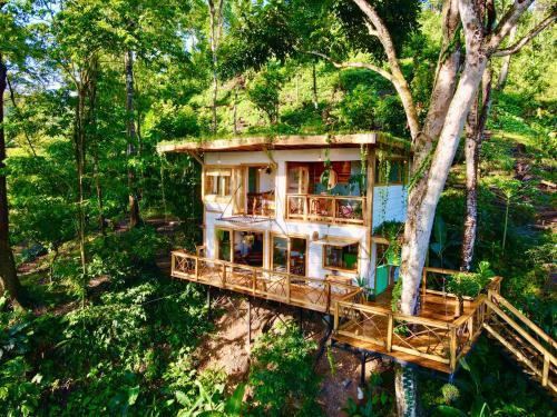 una casa en el árbol en medio del bosque en Jungle Spirit Treehouse, en Cahuita