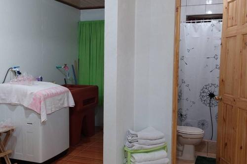 a bathroom with a toilet and a green shower curtain at Villa El Sol in Jardín