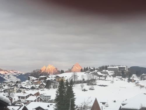 a town covered in snow with mountains in the background at Elfe - Apartments Three-bedroom Apartment for 6 guests with patio in Emmetten