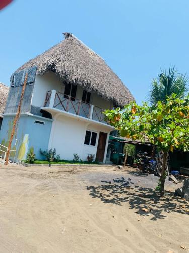 a house with a thatched roof and a palm tree at Cuarto Cactus in El Paredón Buena Vista