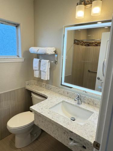 a bathroom with a sink and a toilet and a mirror at Padre Oaks in Monterey