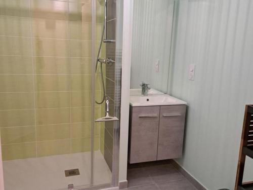une salle de bain avec douche et lavabo dans l'établissement Appartement Neuf Proche Plage et Commerces, Quartier Des Demoiselles, Saint-Jean-de-Monts - FR-1-323-512, à Saint-Jean-de-Monts