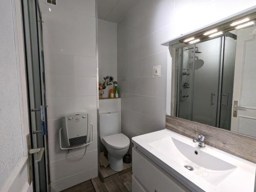 une salle de bain avec toilettes, lavabo et miroir dans l'établissement Charmant T3 avec Terrasse et WIFI, proche Port à Arcachon - FR-1-420-142, à Arcachon