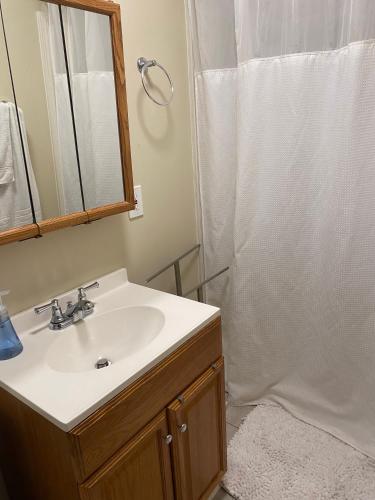 uma casa de banho com um lavatório e um chuveiro em Cozy Home on North Pine em Lansing