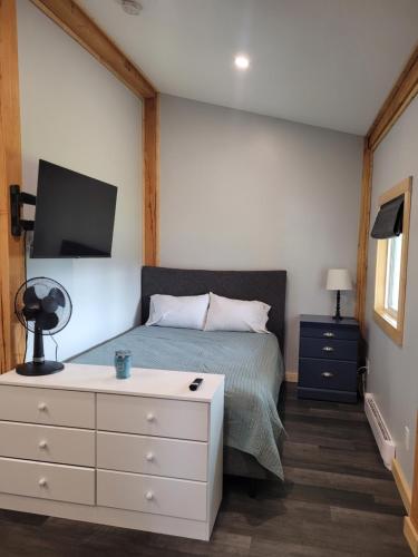 1 dormitorio con 1 cama con cómoda y TV en Wells Gray Stay And Play, en Clearwater