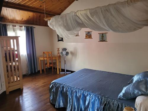 een slaapkamer met een bed met een blauwe sprei bij Residence MATSIATRA in Fianarantsoa