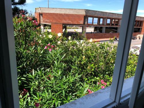 a window view of a garden with flowers in front of a building at Hotel Gaudí in Punta del Este