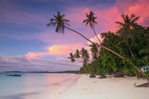 a beach with palm trees and a boat in the water at ISABELLA COTTAGE in Langgur