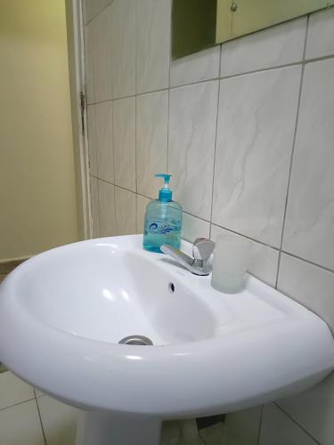 Imagen de la galería de Amaryllis blue,8mins source to River Nile,secure, peaceful, central great location, en Jinja