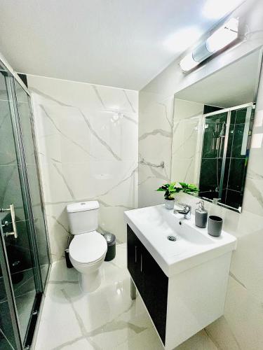 a bathroom with a toilet and a sink and a shower at Nicolas 1 in Larnaca