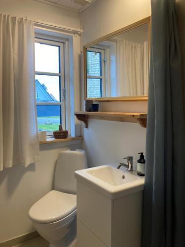 een badkamer met een toilet, een wastafel en een spiegel bij Staevnegaarden in Flødstrup