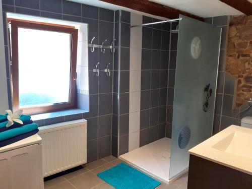 uma casa de banho com um chuveiro e um lavatório. em Gîte de la Muse em Rouffach