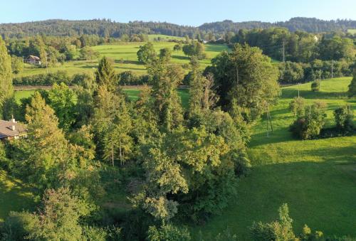 an overhead view of a green field with trees at peaceful tiny house near forest in Rorschacherberg
