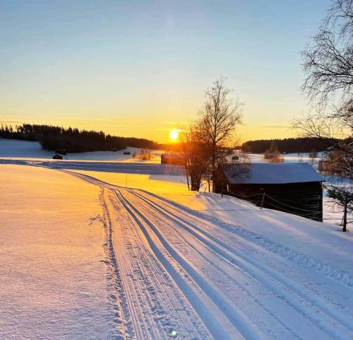 un campo cubierto de nieve con pistas en la nieve en Charming cottage in Forsa, Hudiksvall with lake view en Hudiksvall