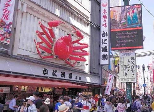 全新上线花跡民宿4号館101 关西机场直达萩之茶屋出站1分钟！难波，心斋桥4分钟车程！