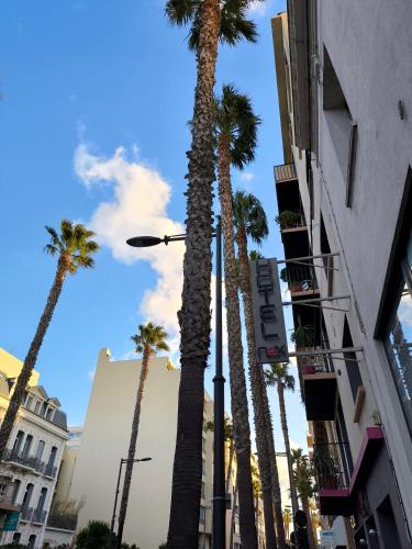 a group of palm trees on a street at Nyx Hôtel Indépendant Perpignan Centre Gare in Perpignan