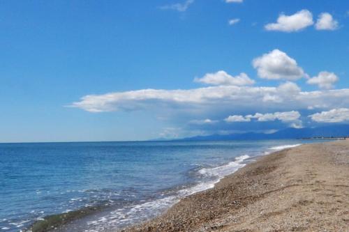 a beach with a blue sky and the ocean at Petit coin de paradis à Port-Leucate in Port Leucate