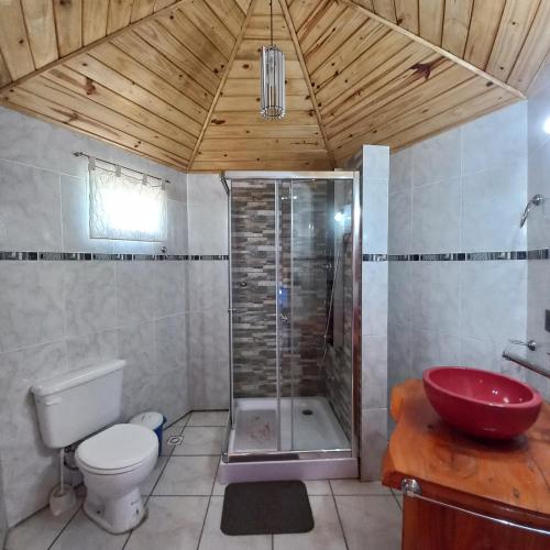 a bathroom with a shower and a toilet and a sink at Puelo EnDomos in Lago Puelo