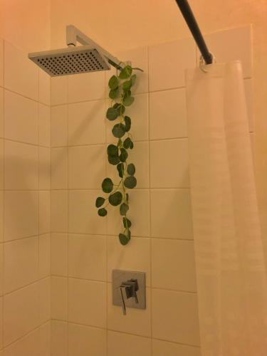 a plant in a bathroom with a shower curtain at Sun's spacious apartment in Johannesburg
