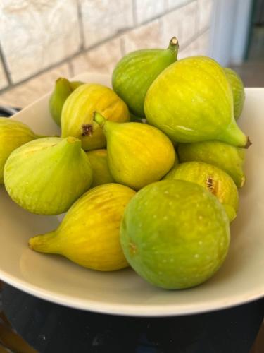 Mad på bed and breakfast-stedet eller i nærheden