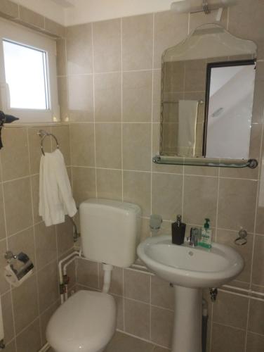 a bathroom with a toilet and a sink at Pensiune La Iulian in Moieciu de Jos