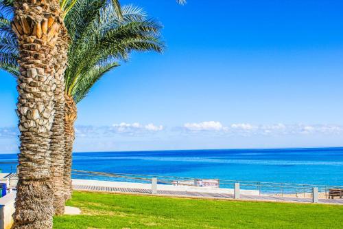 a palm tree sitting next to the ocean at Villa Nora in Protaras