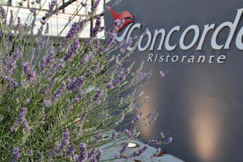 a bunch of purple flowers in front of a sign at Best Western Hotel Rome Airport in Fiumicino