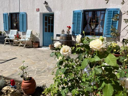 a house with blue doors and flowers in a yard at Istrian house Mojca in Koper