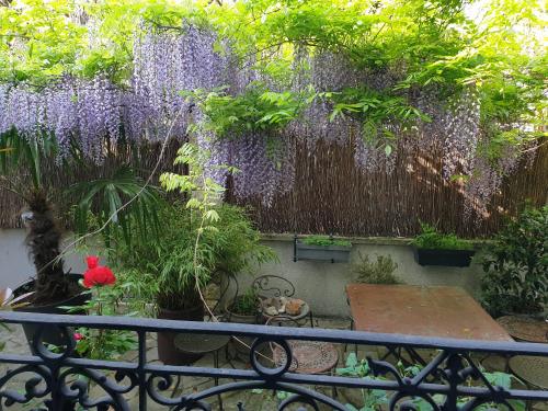 a garden with purple wisterias on a fence at Chambre avec mezzanine dans une maison d'artiste in Rueil-Malmaison