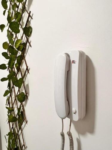a phone hanging on a wall next to a plant at Appartement meublé au virage in Yof