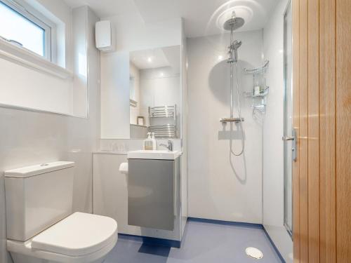 a white bathroom with a toilet and a shower at Postbox Cottage 