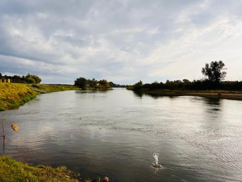um rio com um cisne nadando na água em Ferien/Monteurwohnung Hodenhagen em Hodenhagen