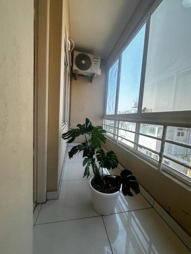 uma planta num vaso sentado numa sala com uma janela em Garden Club em Mangalore